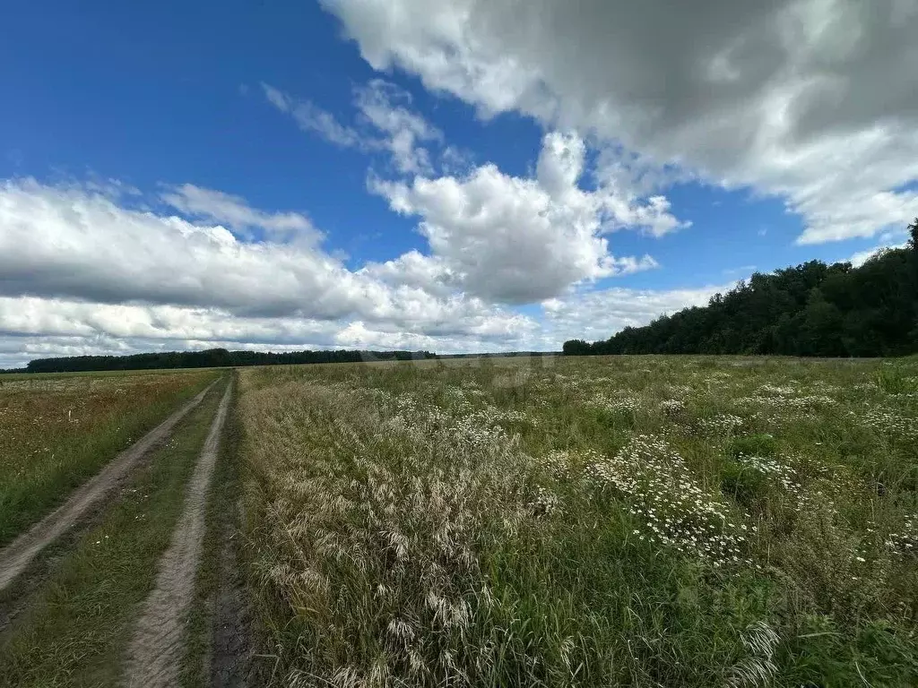 Участок в Тюменская область, Тюменский муниципальный округ, с. ... - Фото 1