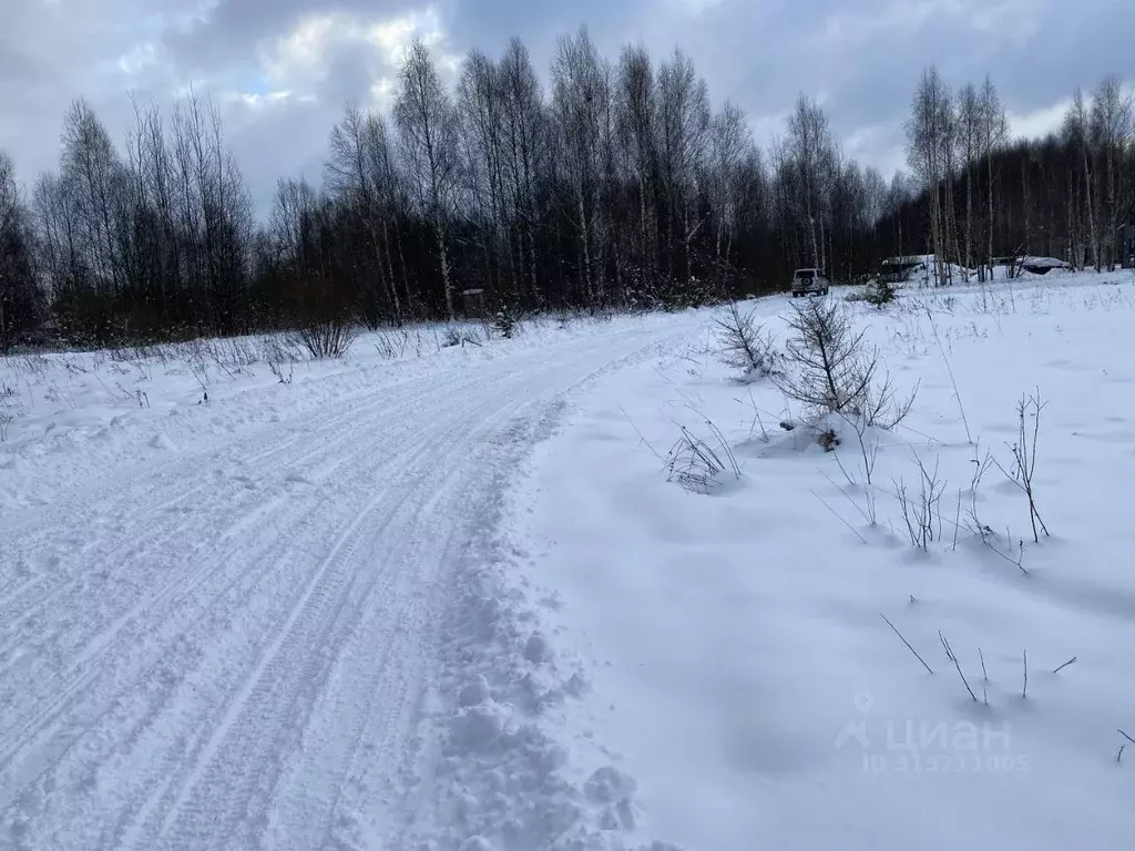 Участок в Московская область, Клин городской округ, с. Борщево  (7.59 ... - Фото 1