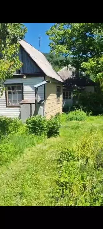 Участок в Адыгея, Майкопский район, Даховское с/пос, с. Хамышки ул. ... - Фото 1