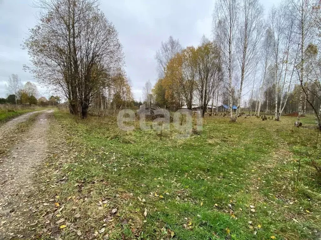 Участок в Костромская область, Судиславский район, Расловское с/пос, ... - Фото 2
