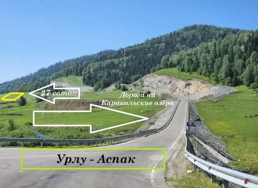 Участок в Алтай, Майминский район, с. Урлу-Аспак  (27.0 сот.) - Фото 2