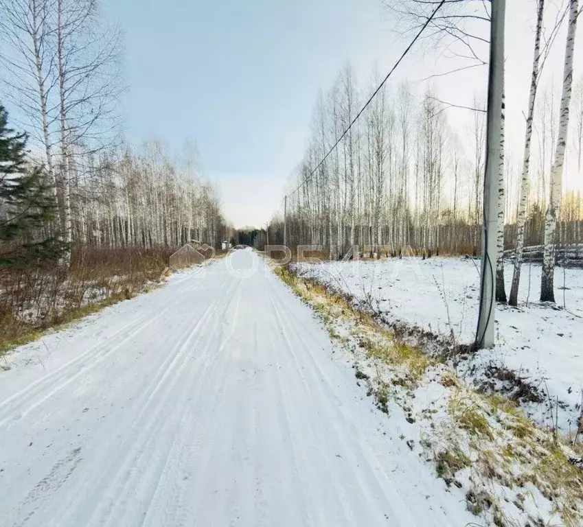 Участок в Тюменская область, Нижнетавдинский район, Березка СНТ  (6.0 ... - Фото 2