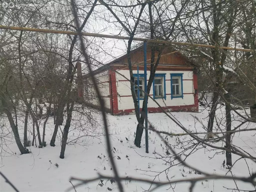 Дом в Рязанская область, Михайловский муниципальный округ, село ... - Фото 2