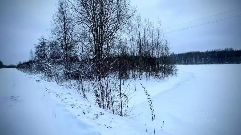 Участок в Новгородская область, Маловишерское городское поселение, д. ... - Фото 2