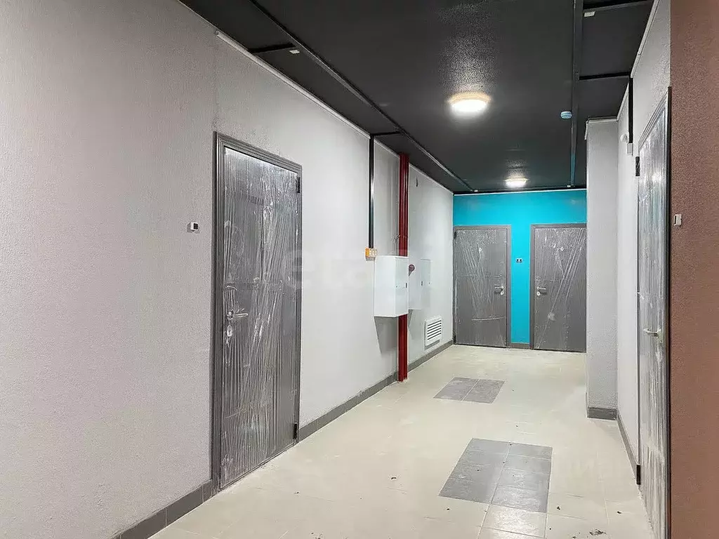 1-к кв. Оренбургская область, Оренбург ул. Неплюева, 5 (52.38 м) - Фото 1