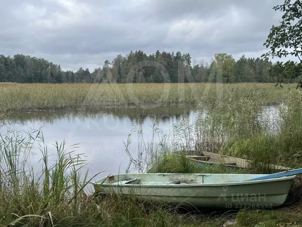 Участок в Ленинградская область, Приозерский район, Мельниковское ... - Фото 2