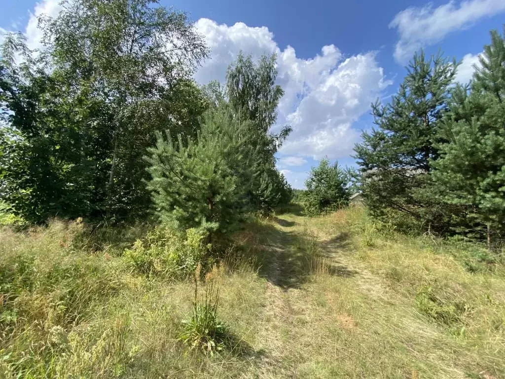 Участок в Псковская область, Гдовский район, Спицинская волость, д. ... - Фото 1