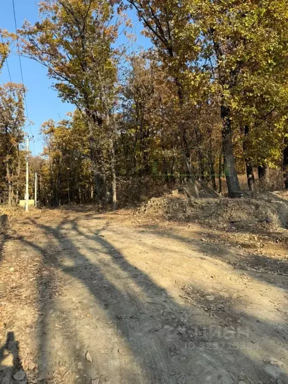Участок в Приморский край, Артем ул. 1-я Рабочая (8.0 сот.) - Фото 2