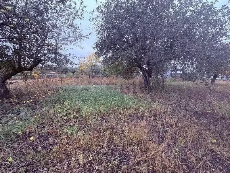 Участок в Белгородская область, Корочанский район, Бехтеевское с/пос, ... - Фото 2