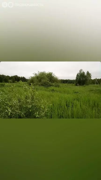 Участок в Нижнетавдинский район, СНТ Геофизик 2 (8 м) - Фото 0