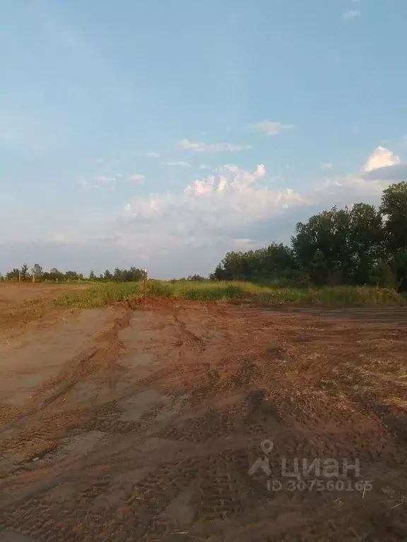 Участок в Красноярский край, Минусинск Абаканская ул. (10.0 сот.) - Фото 1