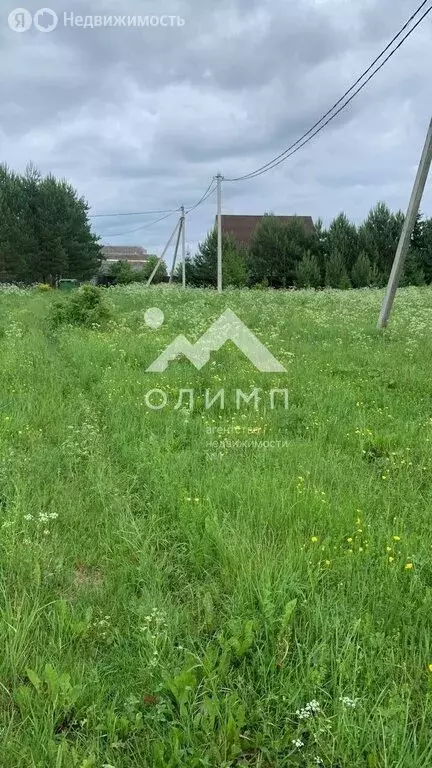 Участок в Вологодская область, Усть-Кубинский муниципальный округ, ... - Фото 2