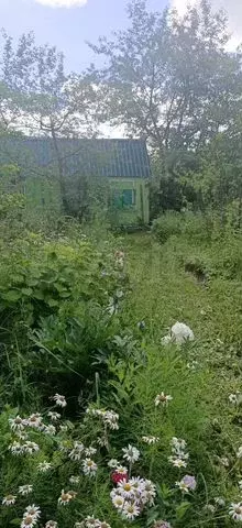 Дача 10,1 м на участке 3,2 сот. - Фото 0