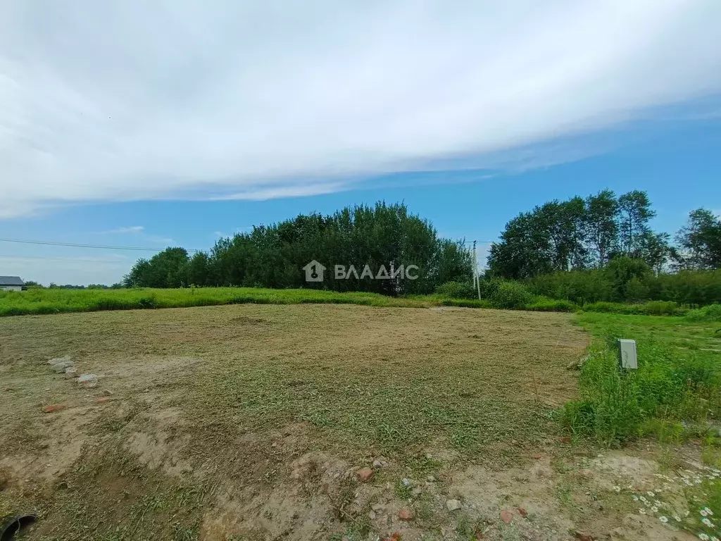 Участок в Калининградская область, Зеленоградский муниципальный округ, ... - Фото 2