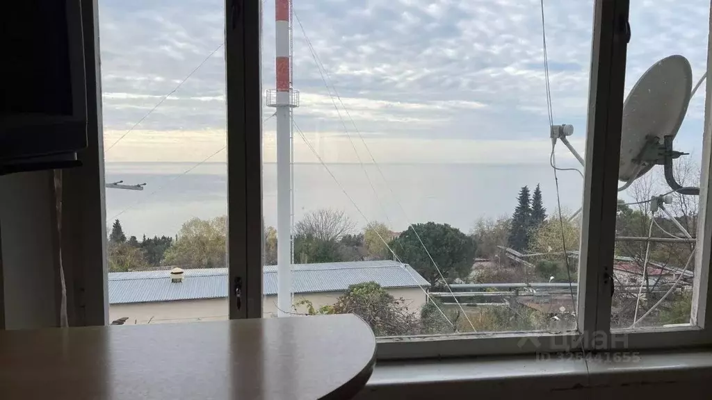 1-к кв. Краснодарский край, Сочи Курортный просп., 100/8 (29.0 м) - Фото 2