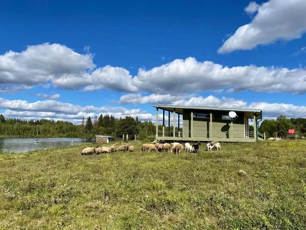 Дом в Новгородская область, Мошенской муниципальный округ, д. Чучемля  ... - Фото 1