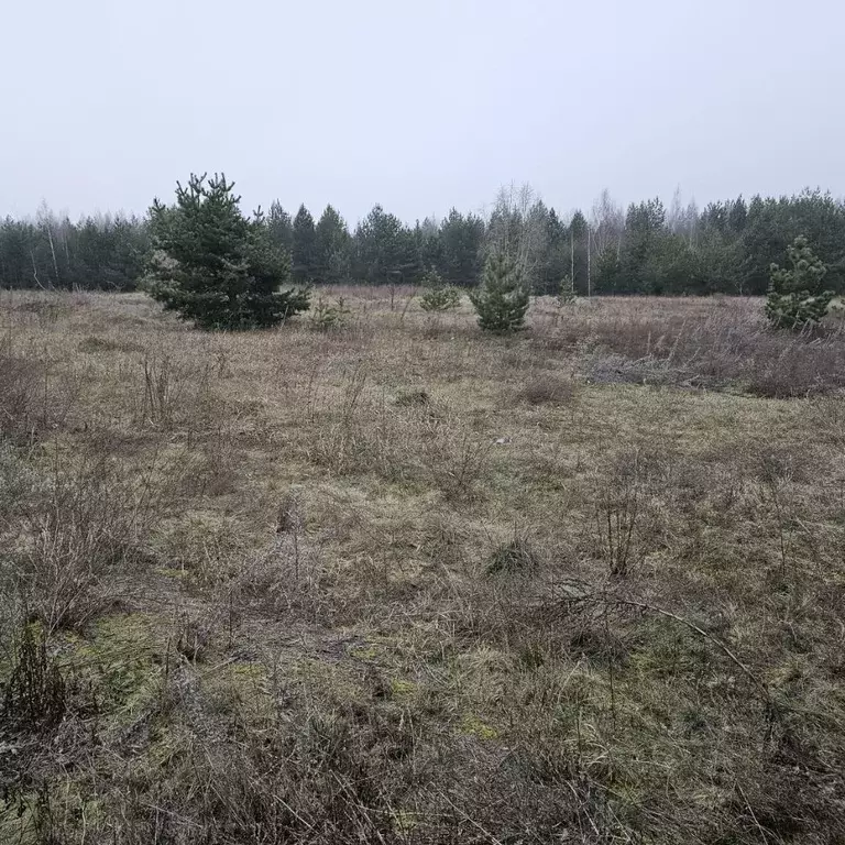 Участок в Московская область, Луховицы муниципальный округ, с. Городна ... - Фото 0