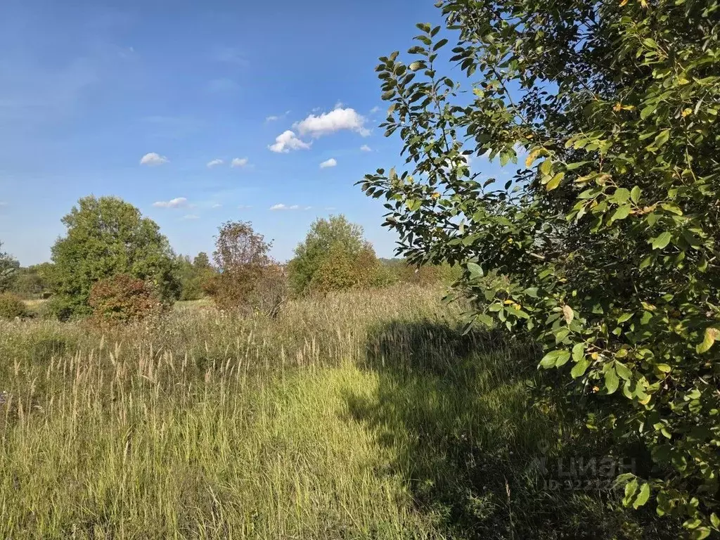 Участок в Московская область, Сергиево-Посадский городской округ, д. ... - Фото 1
