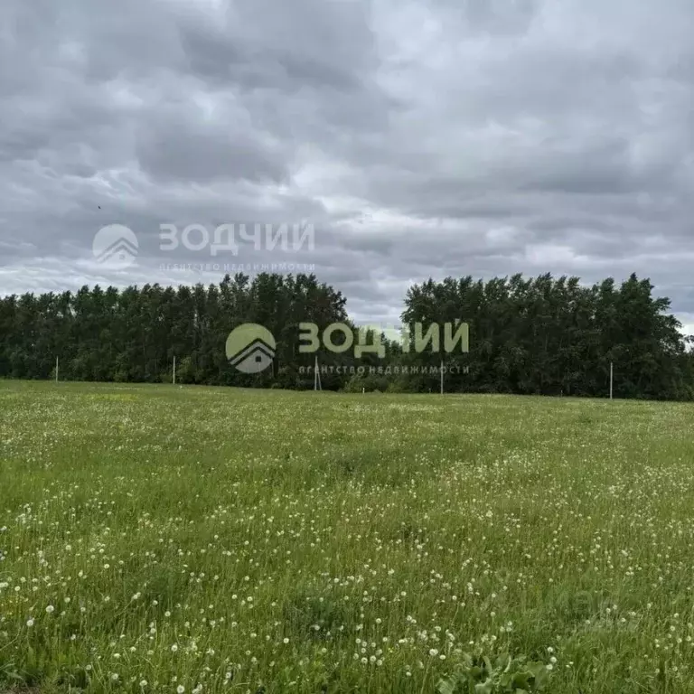 Участок в Чувашия, Чебоксарский муниципальный округ, д. Малый Сундырь  ... - Фото 1