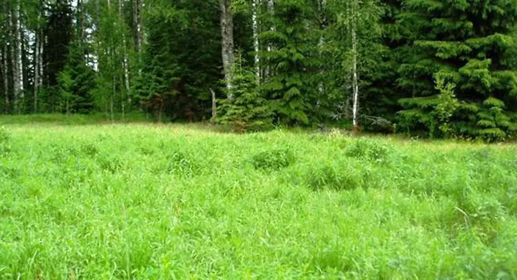 Гараж в Москва Симферопольский бул., 29К8 (18 м) - Фото 2