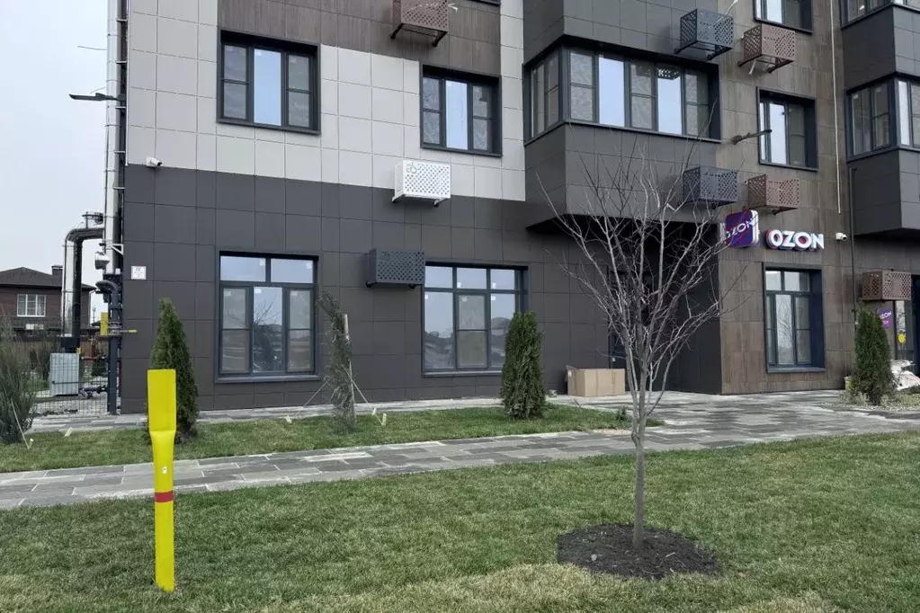 Помещение свободного назначения в Ростовская область, Азовский район, ... - Фото 1