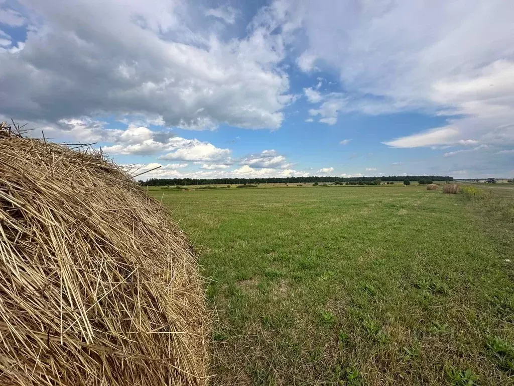 Участок в Тульская область, Тула городской округ, д. Юрьево  (10.0 ... - Фото 0