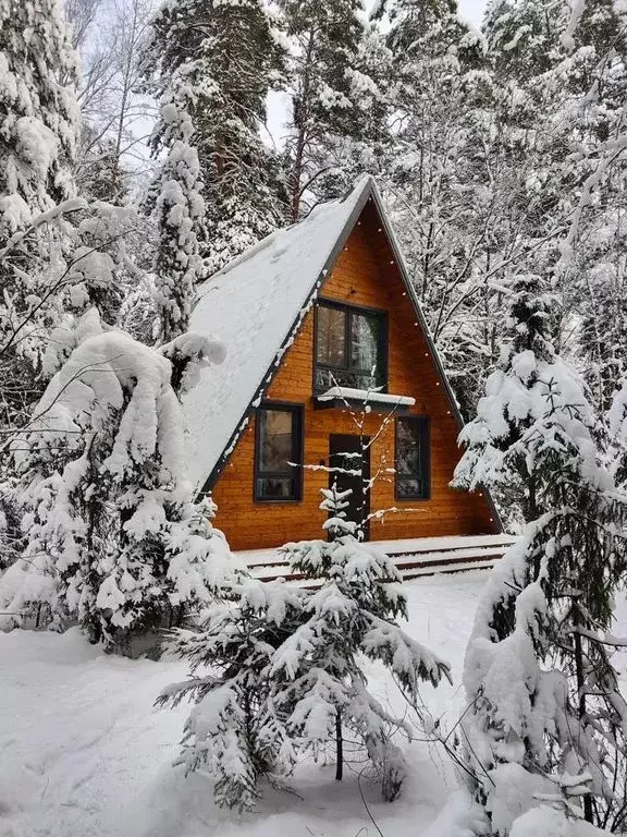 Дом в Московская область, Раменский муниципальный округ, д. Коняшино, ... - Фото 1