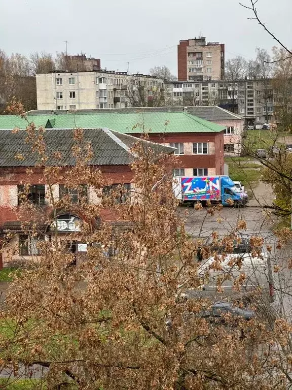 1-к кв. Ленинградская область, Кингисепп Железнодорожная ул., 8а (31.0 ... - Фото 2