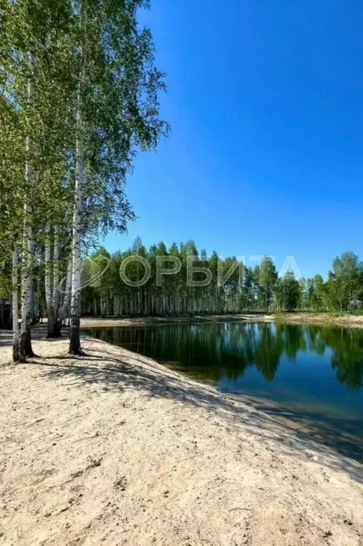 Участок в Тюменская область, Нижнетавдинский муниципальный округ, ... - Фото 2