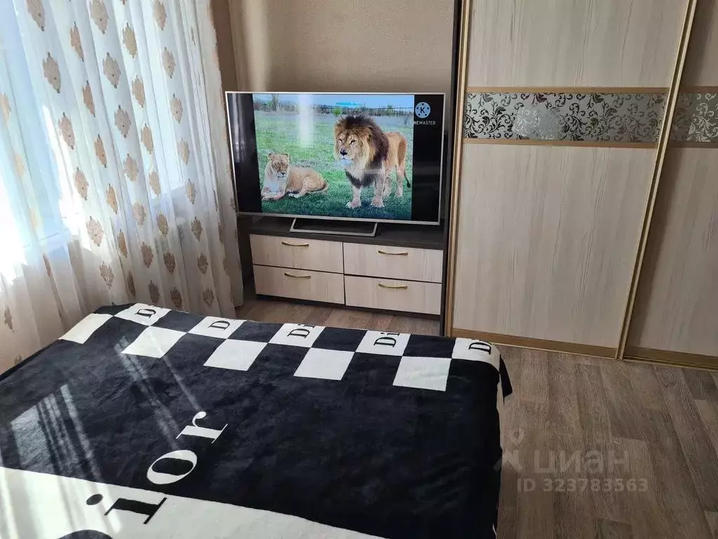 2-к кв. Амурская область, Благовещенск ул. Шевченко, 70/2 (50.0 м) - Фото 1