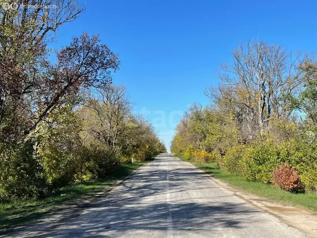 Участок в Русаковка, Черкасская улица (12.18 м) - Фото 2