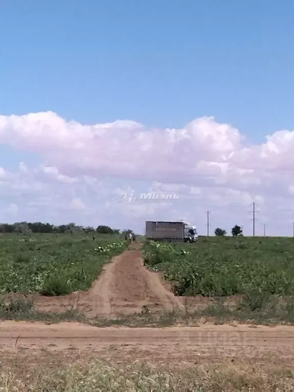 Участок в Крым, Красноперекопский район, Вишневское с/пос, с. Уткино ... - Фото 1