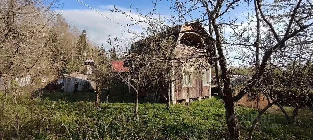 Дом в Ленинградская область, Выборгский район, Советское городское ... - Фото 1
