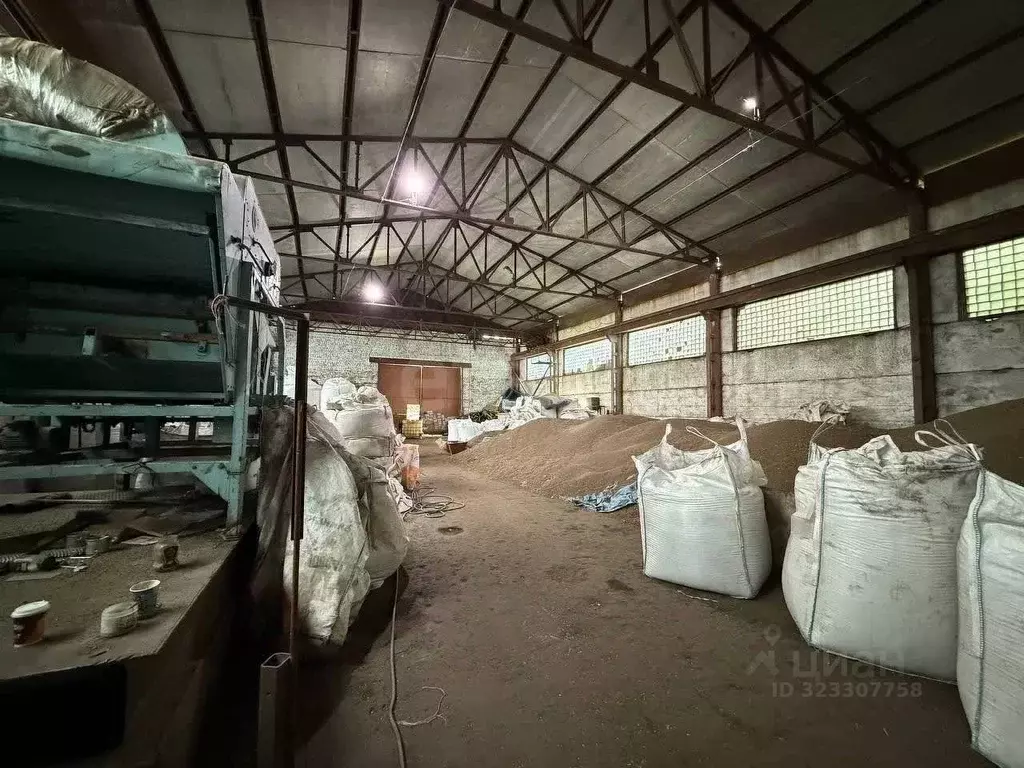 Склад в Воронежская область, Хохольское городское поселение, с. Хохол ... - Фото 1