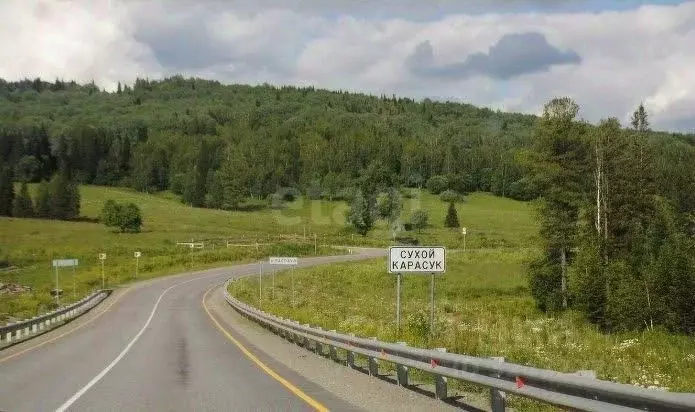Участок в Алтай, Чойский район, Паспаульское с/пос, с. Сухой Карасук  ... - Фото 1
