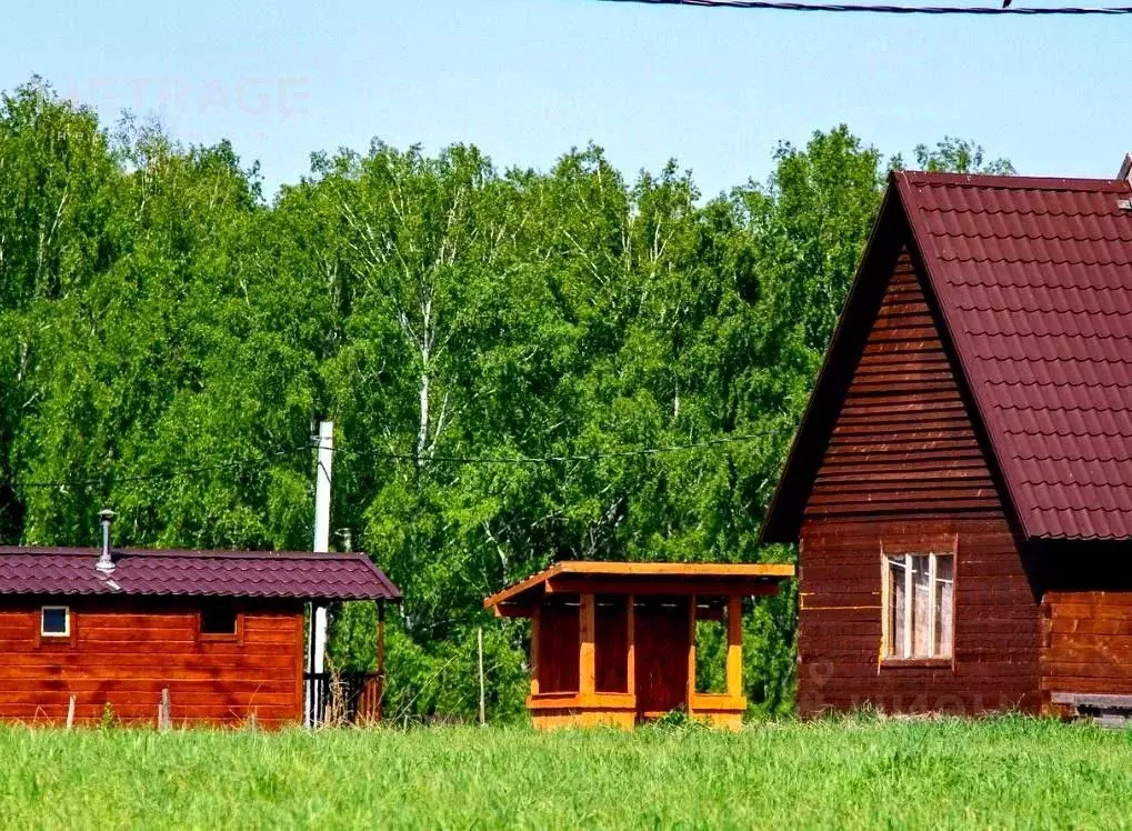 Участок в Новосибирская область, Новосибирский район, Плотниковский ... - Фото 1