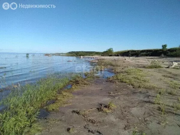 Участок в Новгородская область, Шимское городское поселение, деревня ... - Фото 0