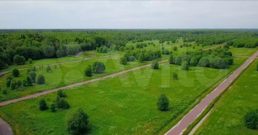 Участок 10 сот. (СНТ, ДНП) - Фото 0