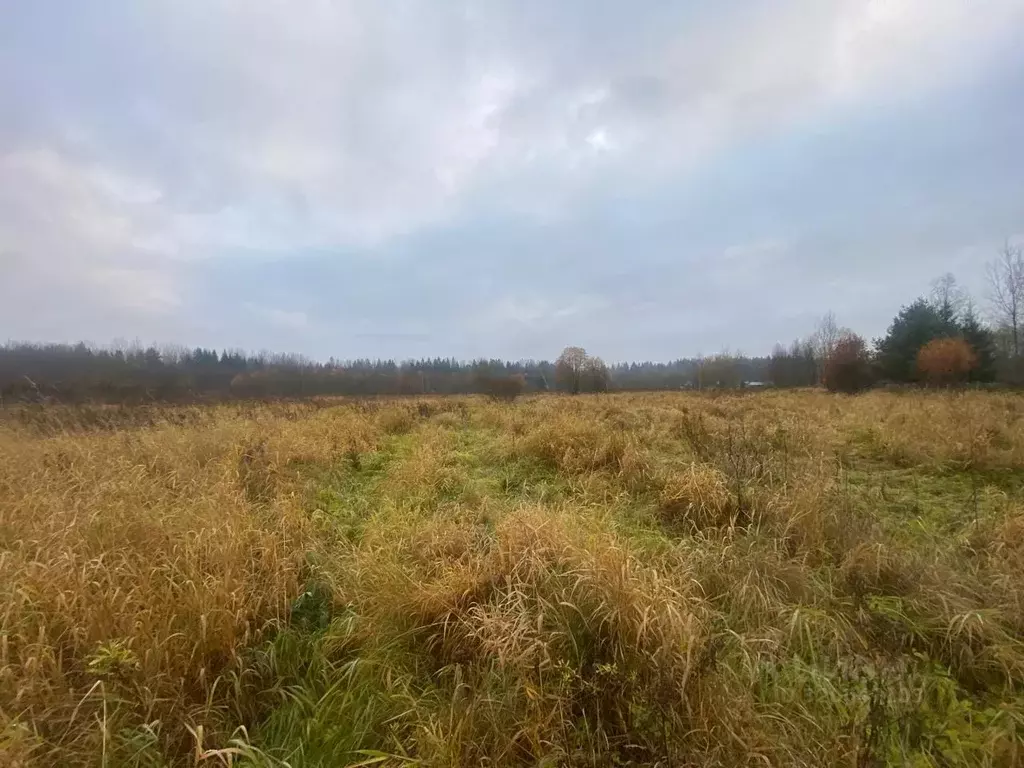 Участок в Ленинградская область, Тосненский район, Любанское городское ... - Фото 0