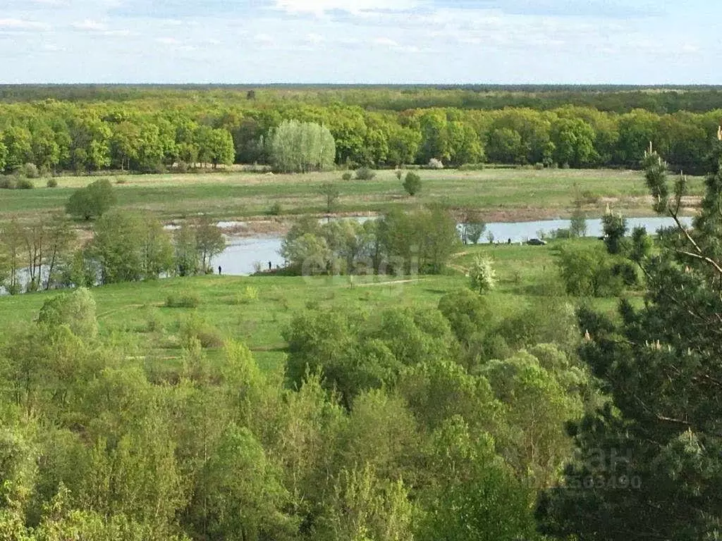 Участок в Воронежская область, Рамонь рп ул. Тутукова (11.7 сот.) - Фото 1