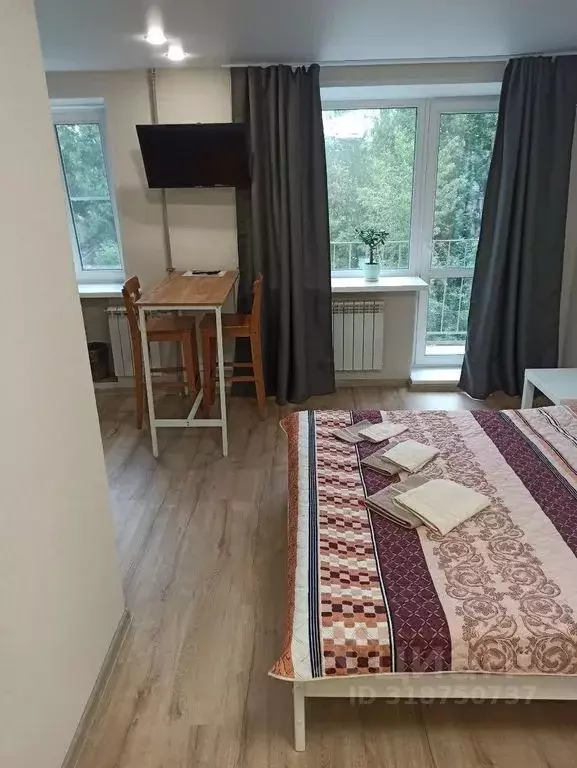 Студия Нижегородская область, Нижний Новгород бул. Мира, 19 (30.0 м) - Фото 1