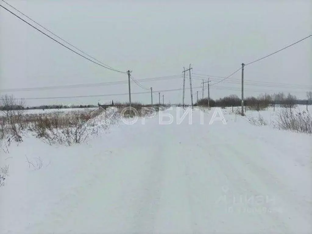 Участок в Тюменская область, Тюмень Березняки СНТ,  (55.0 сот.) - Фото 2
