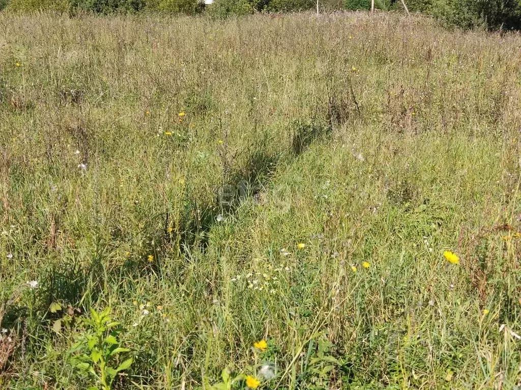 Участок в Калужская область, Калуга  (7.5 сот.) - Фото 2