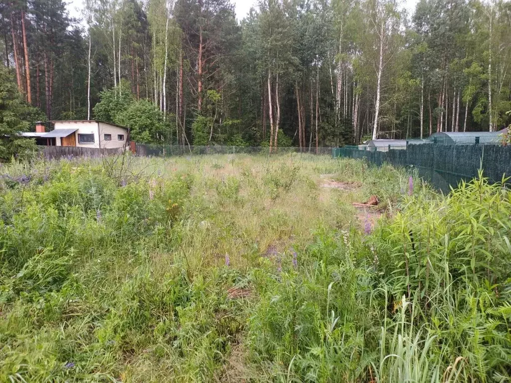 Участок 6,9 сот. (СНТ, ДНП) - Фото 0