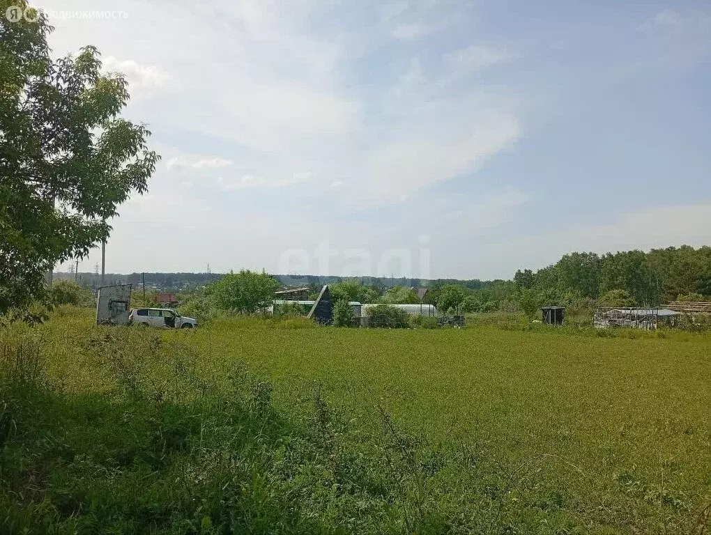 Участок в Искитимский район, Чернореченский сельсовет, ТСН Ложок-1, ... - Фото 0