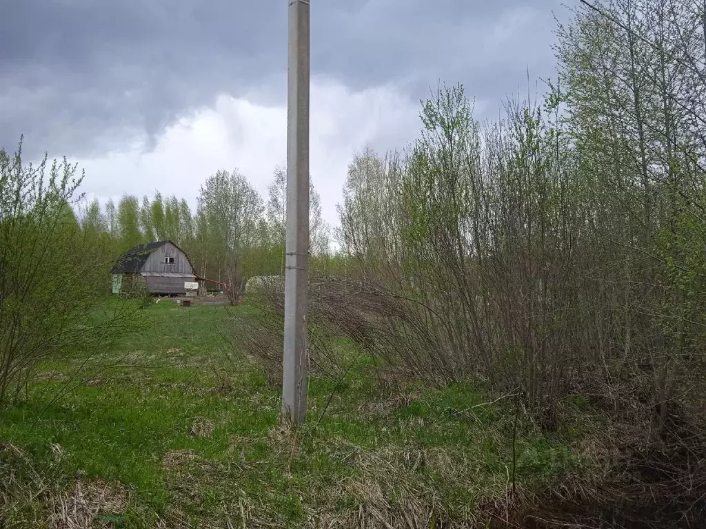 Участок в Новгородская область, Новгородский район, Савинское с/пос, ... - Фото 0