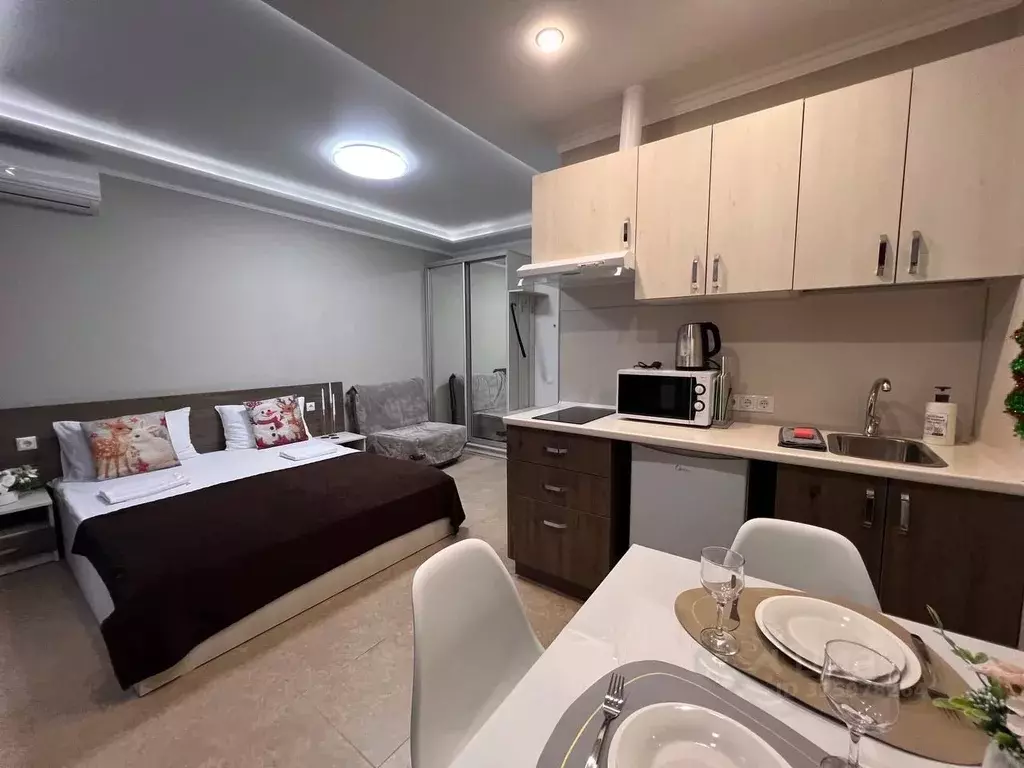 Студия Краснодарский край, Сочи ул. Ленина, 219А/1к1 (22.0 м) - Фото 1