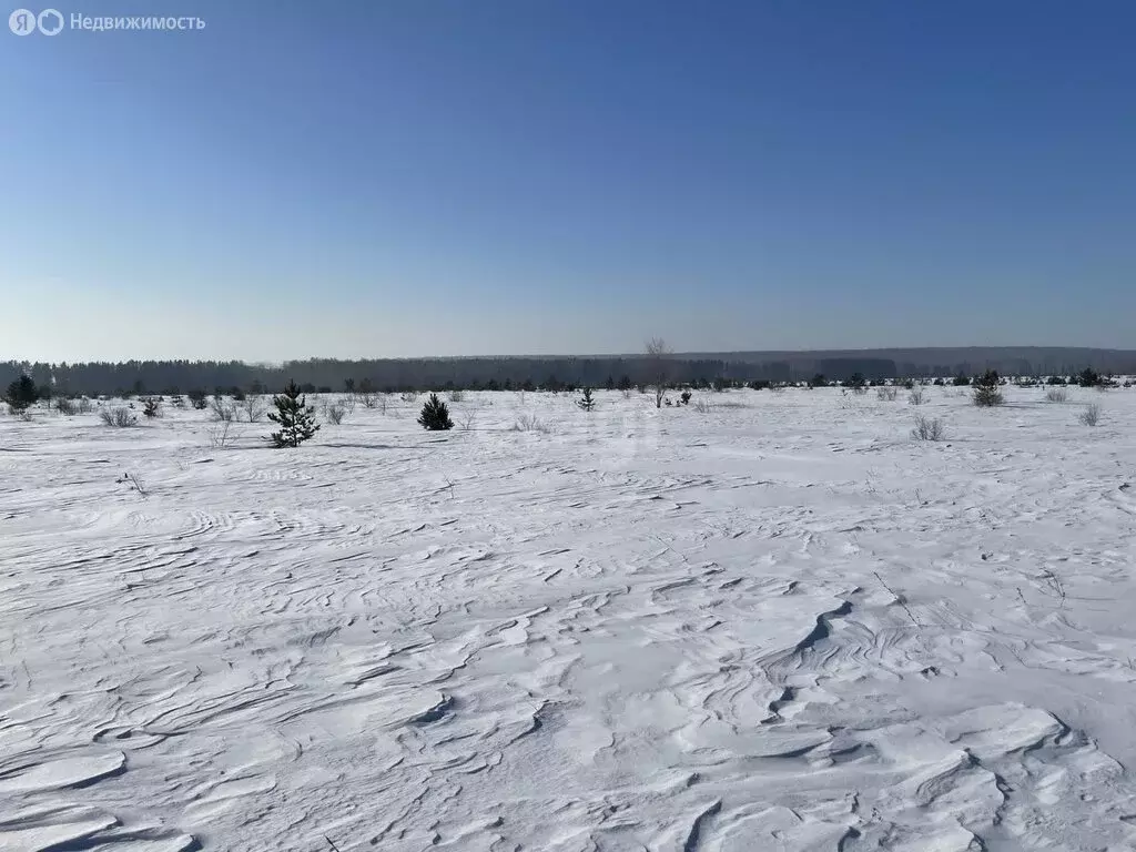 Участок в Сосновский район, Солнечное сельское поселение, посёлок ... - Фото 0