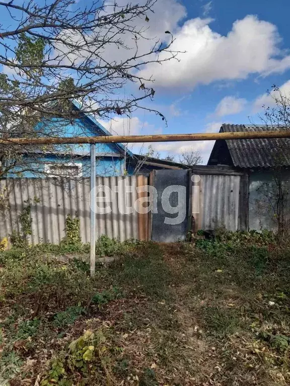 Киселево белгородская область