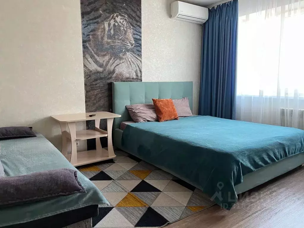 1-к кв. Амурская область, Благовещенск Амурская ул., 106 (33.0 м) - Фото 2